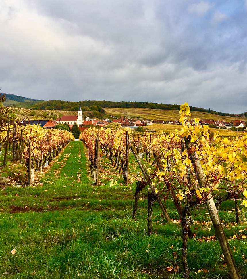 Alsace