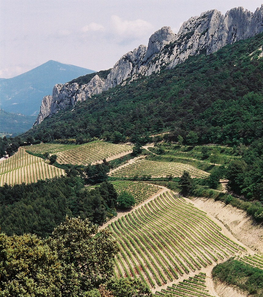 Bouissière