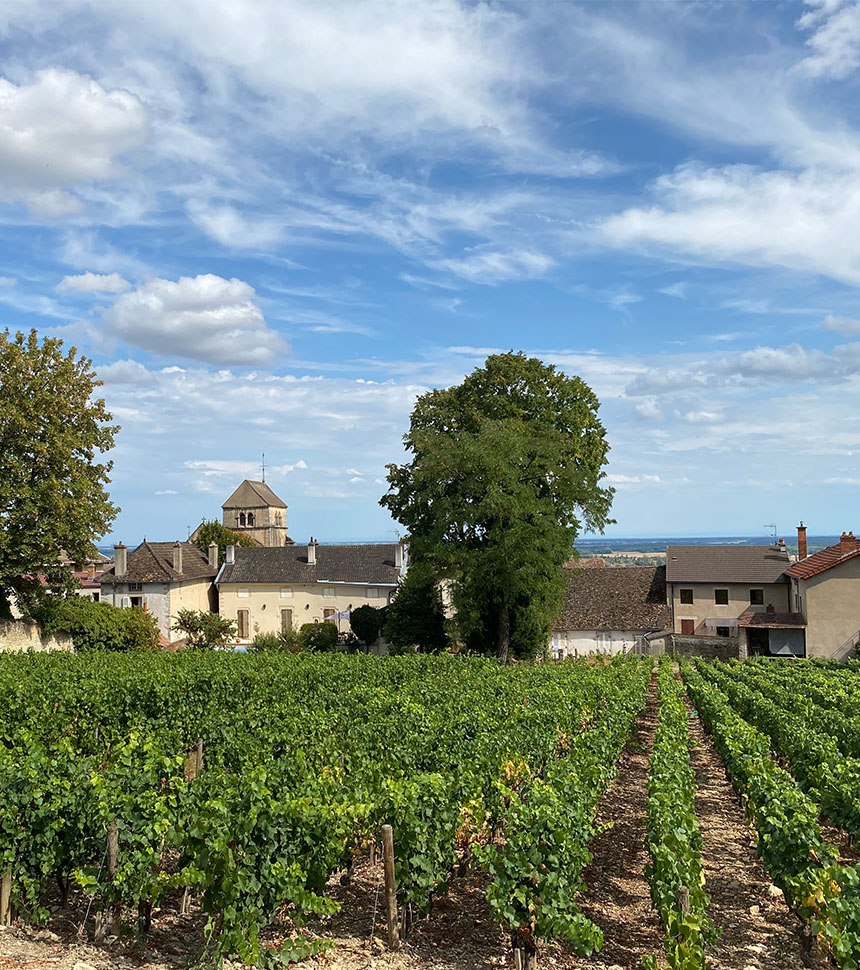 Bourgogne