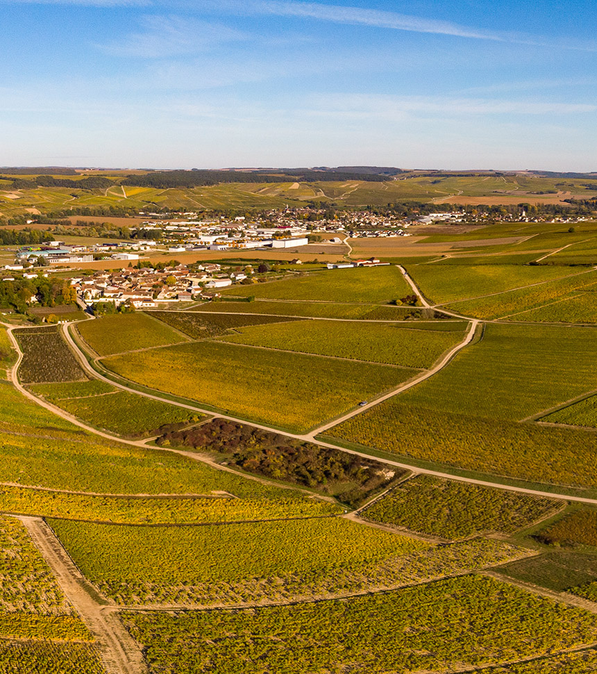 Chablis