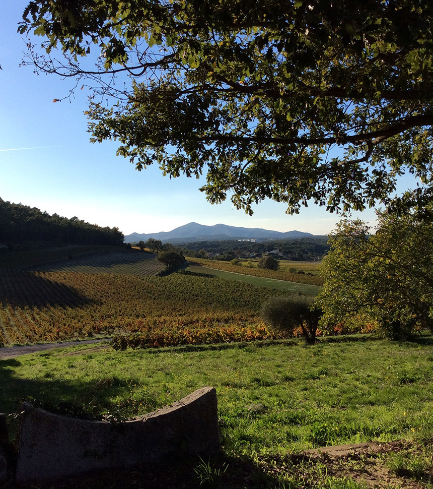 Provence