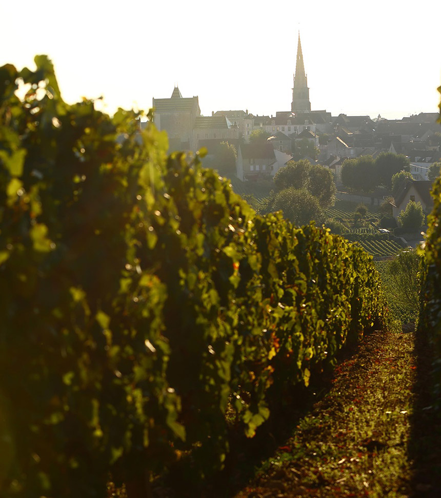 Côte de Beaune